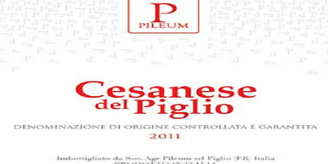 Pileum_Cesanese