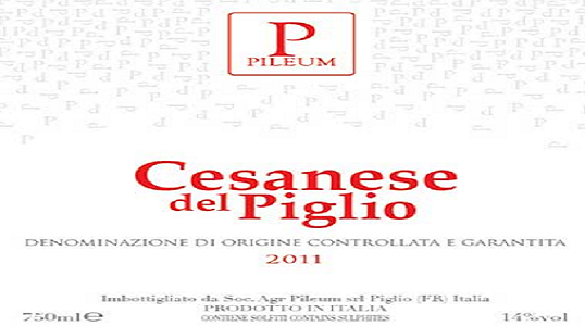 Pileum_Cesanese