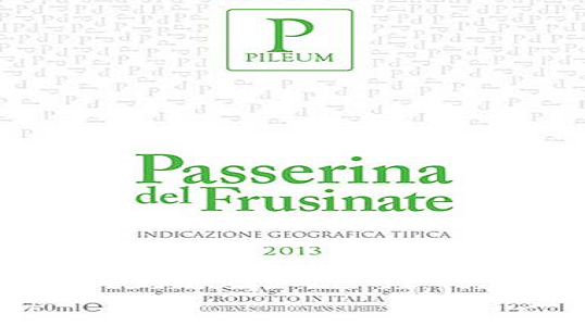 Pileum_Passerina