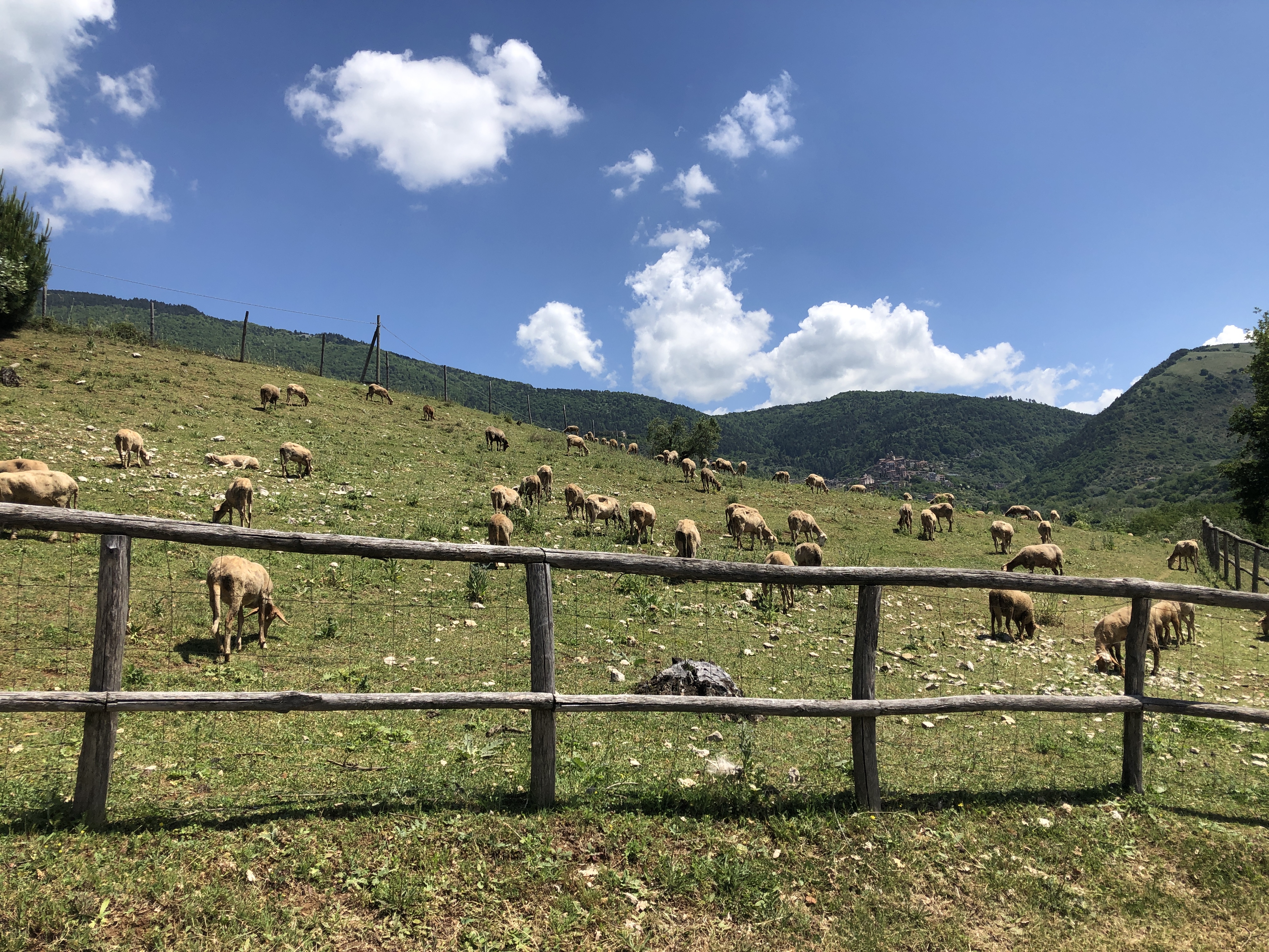Agriturismo Andalù